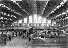 photographie,lyon,halle tony garnier