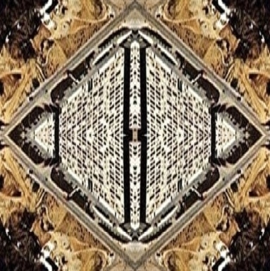 photographie