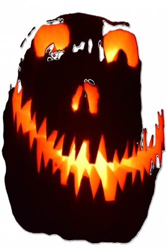 photographie,halloween,citrouille,courge,cucurbitacée,