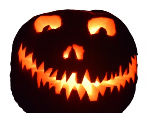 photographie,halloween,citrouille,courge,cucurbitacée,fête de la toussaint