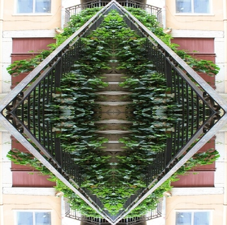 photographie,lyon,rue pouteau,la croix-rousse,vieux lyon