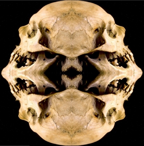 photographie